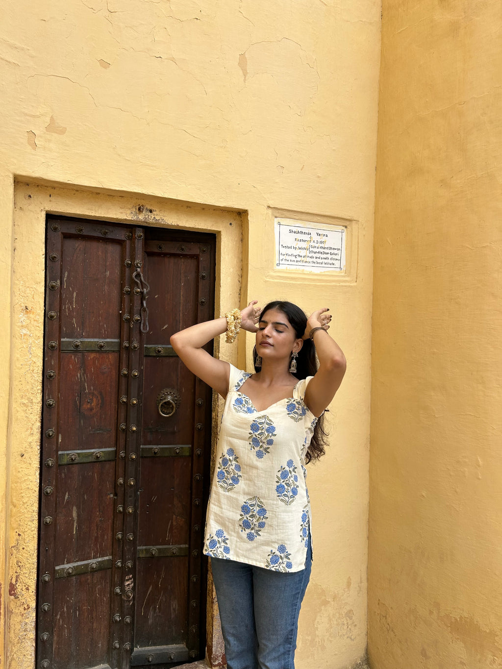 Laila desi aesthetic top